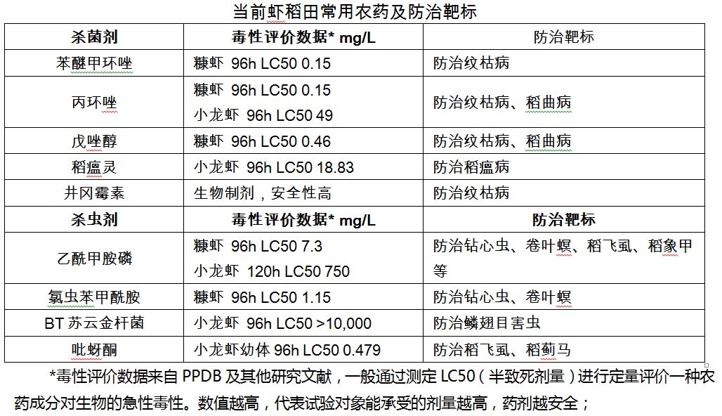 虾稻田直播水稻怎样管理,水稻养虾的可行性和必要性