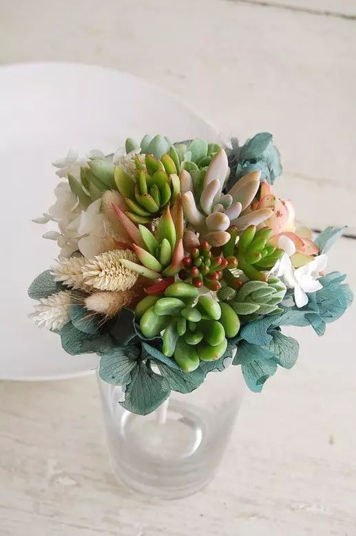 刚种上的多肉开始蔫了怎么回事,还没长好根的多肉怎么度夏