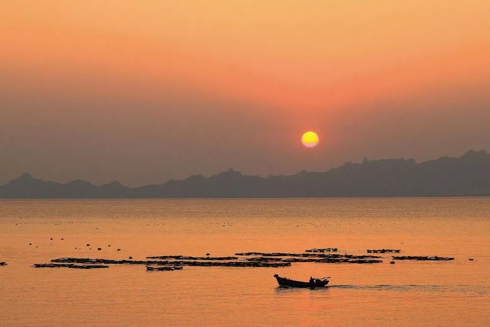 斯里兰卡马尔代夫游,斯里兰卡到底安全吗