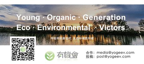 46个人的咖啡馆和2个人的幼儿园