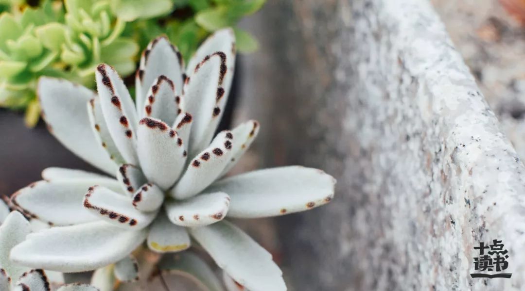 人到四十有三不言三不争三不比,做人三不笑三不叫三不吵三不忘