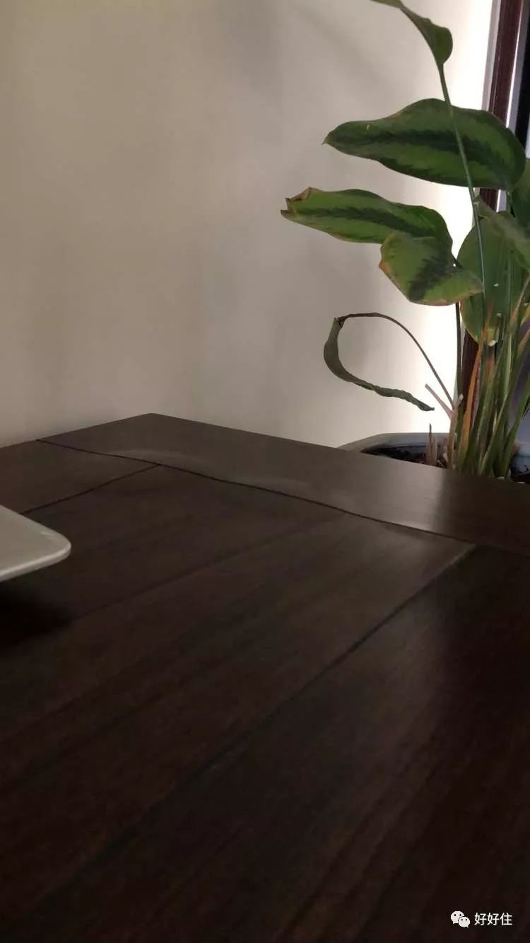 今日爆料|爱室丽家具频鼓包、飞利浦电动牙刷易发霉、EVITAHOME品控堪忧！