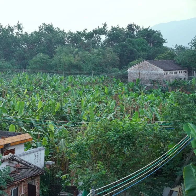 肇庆砚洲岛美景,行摄肇庆