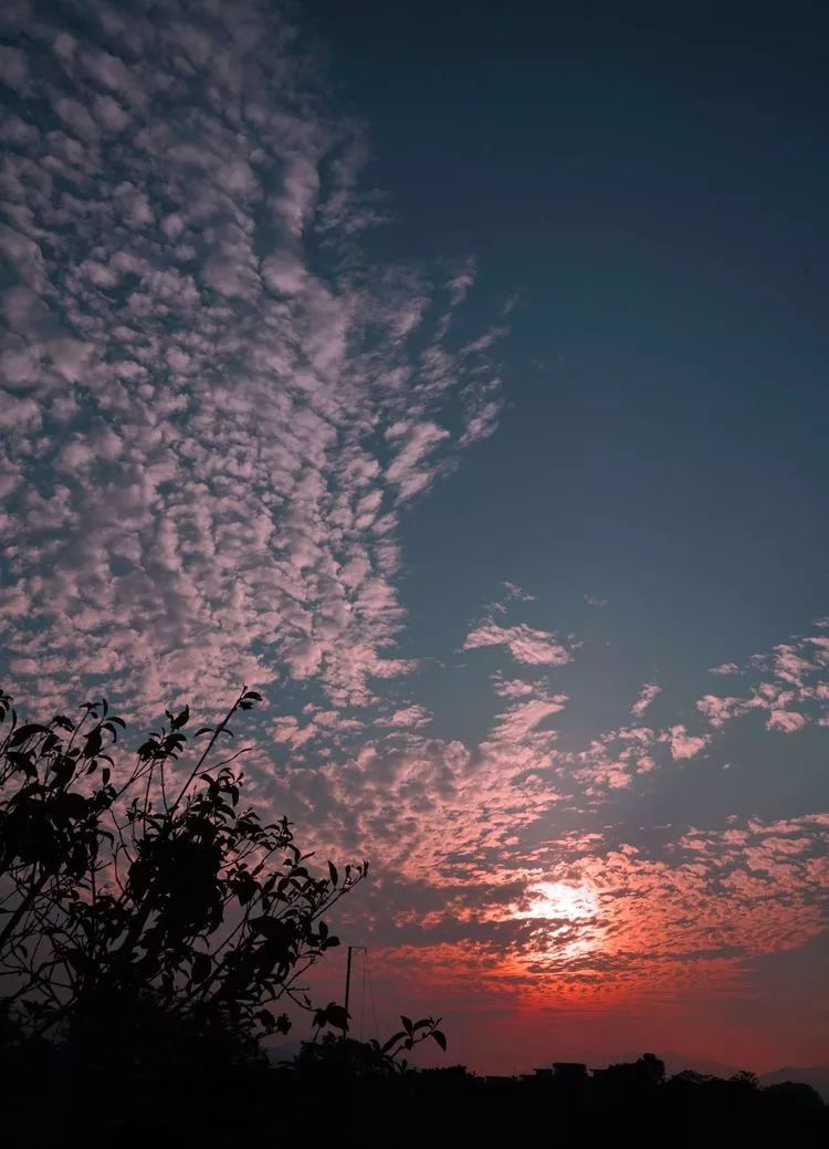 肇庆砚洲岛美景,行摄肇庆