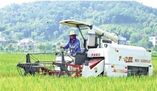 浙江日报头版评价,浙江日报评论拥抱改革