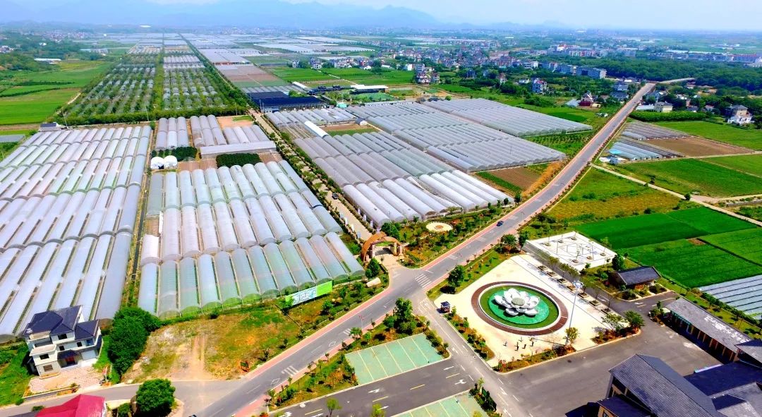 浙江日报头版评价,浙江日报评论拥抱改革