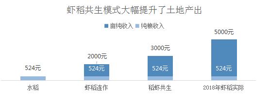 养稻虾的秘诀,稻田水稻抽穗期管理
