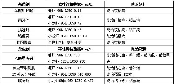 养稻虾的秘诀,稻田水稻抽穗期管理