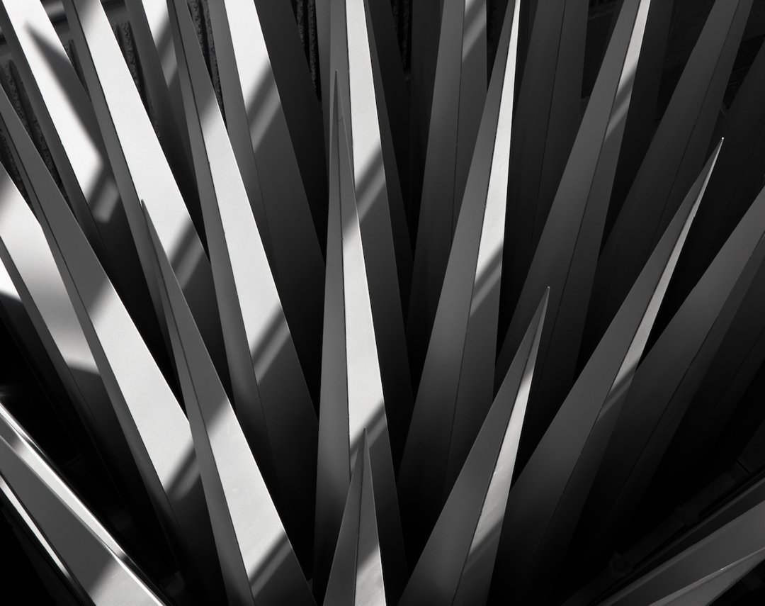 房子在她的镜头里变得生动，来看建筑摄影师埃莱娜30年作品展