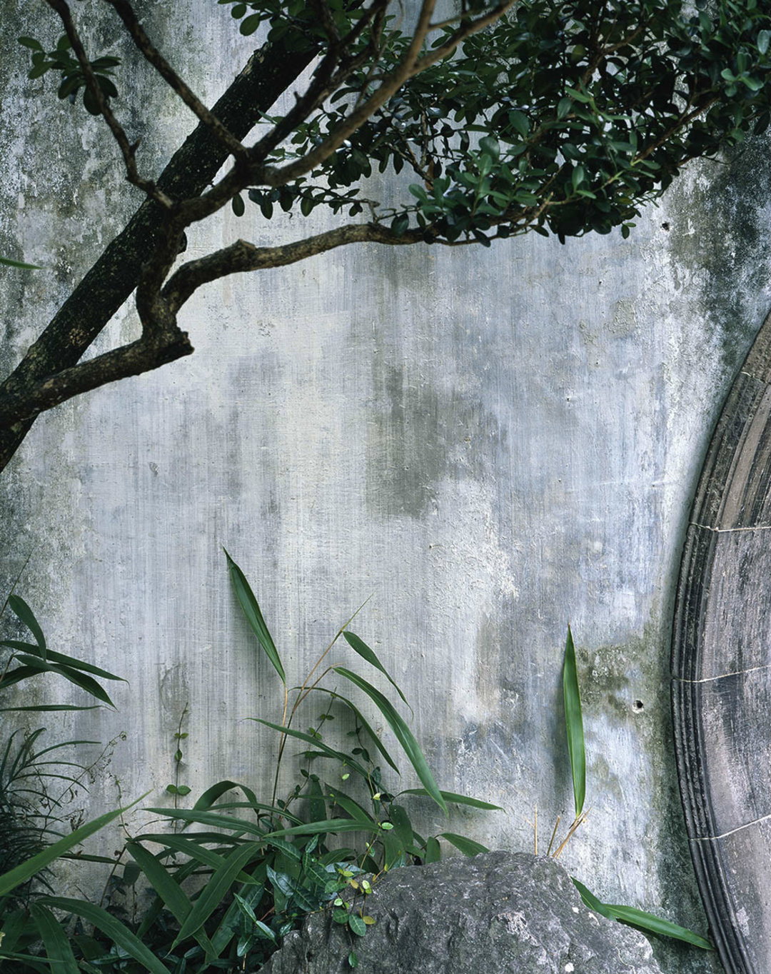 房子在她的镜头里变得生动，来看建筑摄影师埃莱娜30年作品展