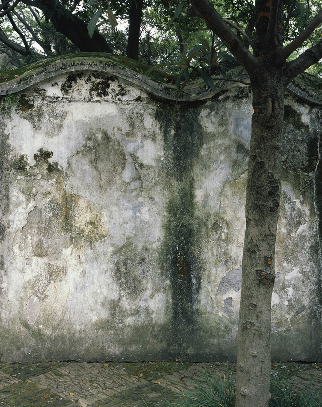 房子在她的镜头里变得生动，来看建筑摄影师埃莱娜30年作品展