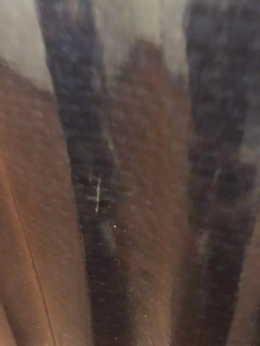 网易考拉东西是正品么,网易考拉买过了能不能退