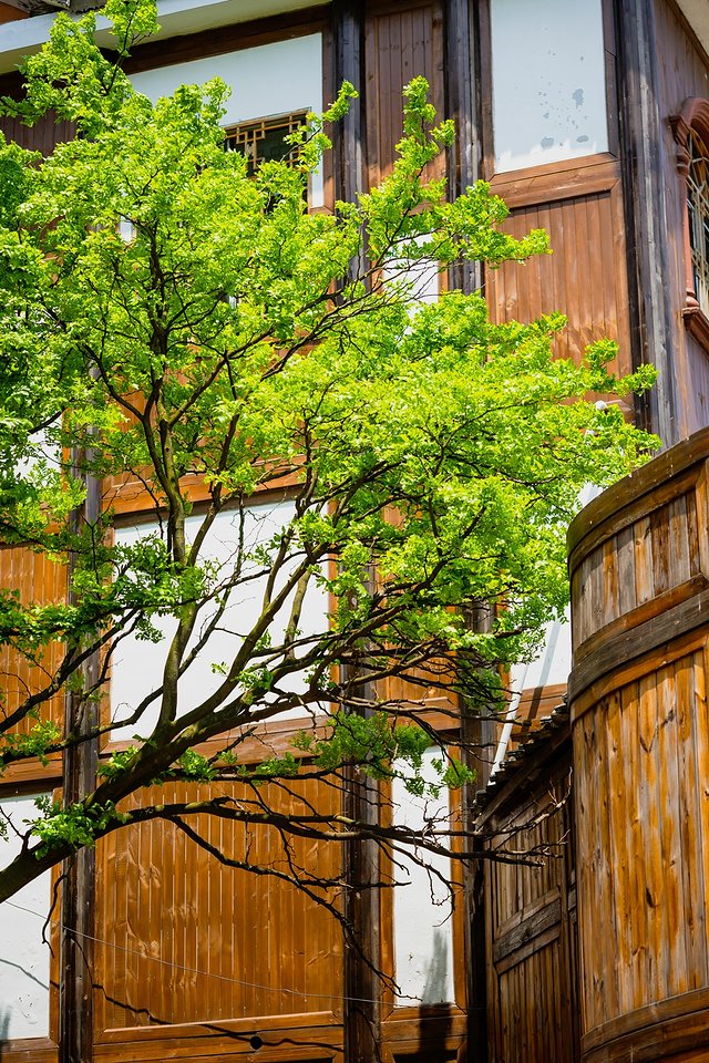 黔南州的独特风情,最炫民族风的来历