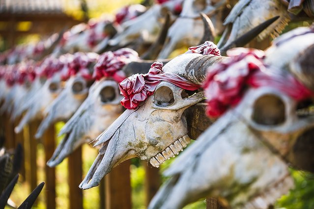 黔南州的独特风情,最炫民族风的来历