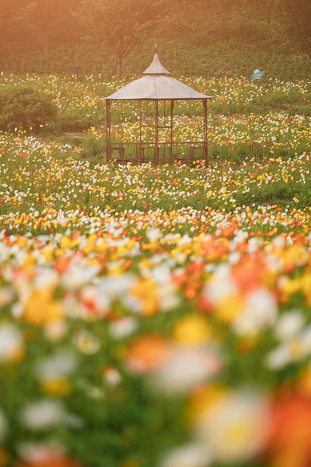 黔南州的独特风情,最炫民族风的来历