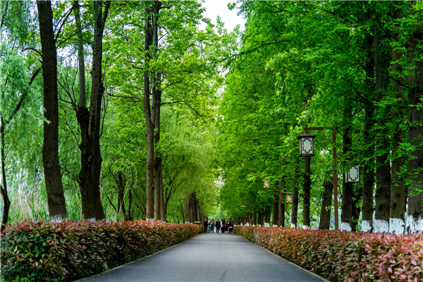 来长沙必去的网红打卡地,洋湖适合打卡的地方