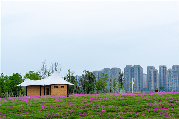 来长沙必去的网红打卡地,洋湖适合打卡的地方