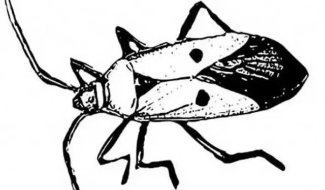 必须懂的健康小知识,一定要记住的健康小知识