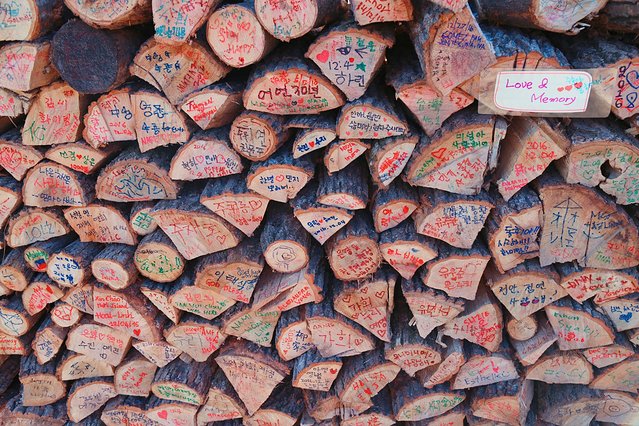 济州冬日的海，首尔春日的花，那些电影里的故事