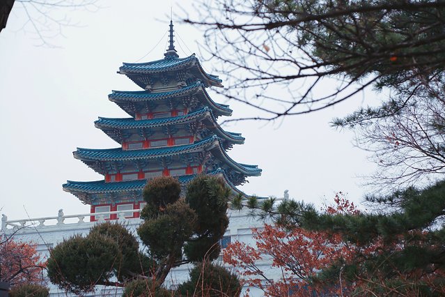 济州冬日的海，首尔春日的花，那些电影里的故事