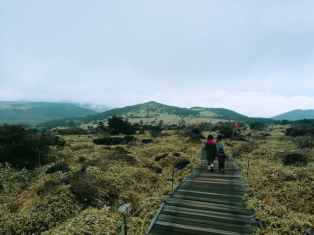 济州冬日的海,首尔春日的花,那些电影里的故事