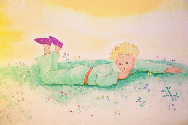 济州冬日的海,首尔春日的花,那些电影里的故事