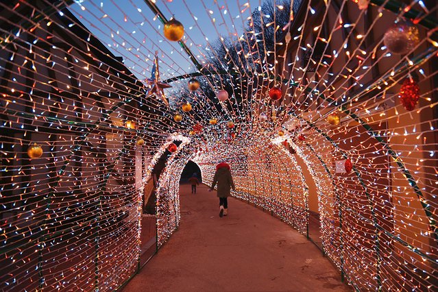 济州冬日的海,首尔春日的花,那些电影里的故事