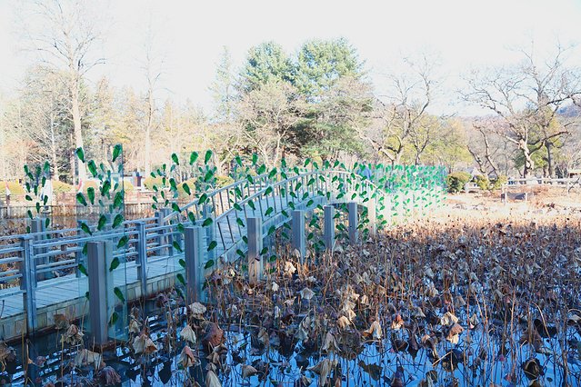 济州冬日的海，首尔春日的花，那些电影里的故事