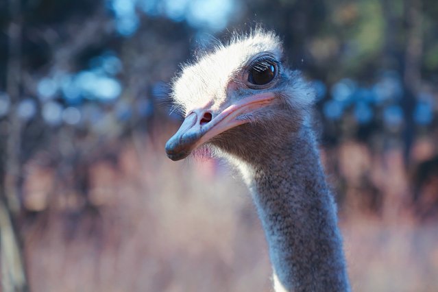 济州冬日的海,首尔春日的花,那些电影里的故事