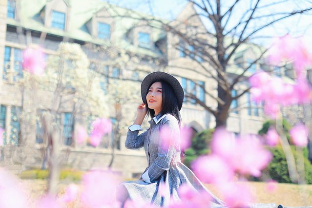 济州冬日的海，首尔春日的花，那些电影里的故事