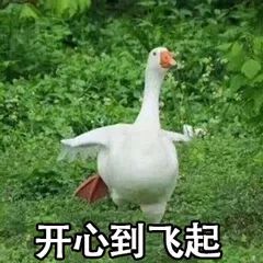 如何分辨儿童绘本正版与盗版,绘本怎么区别盗版和正版