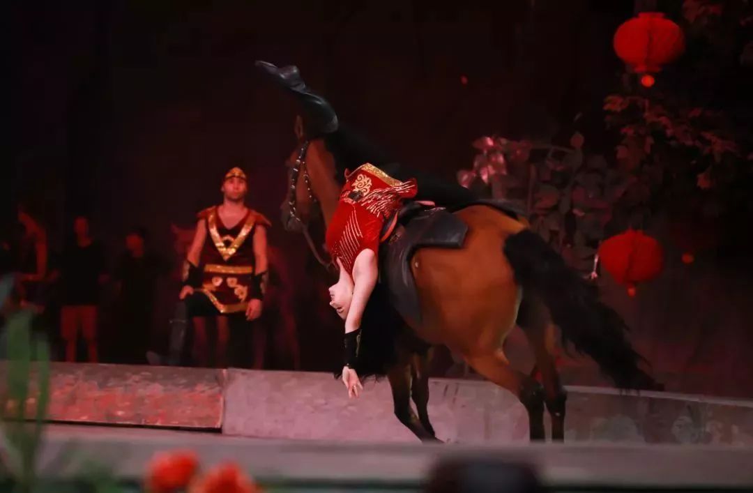 灵玲国际马戏城儿童节,厦门灵玲国际马戏城大熊猫叫什么