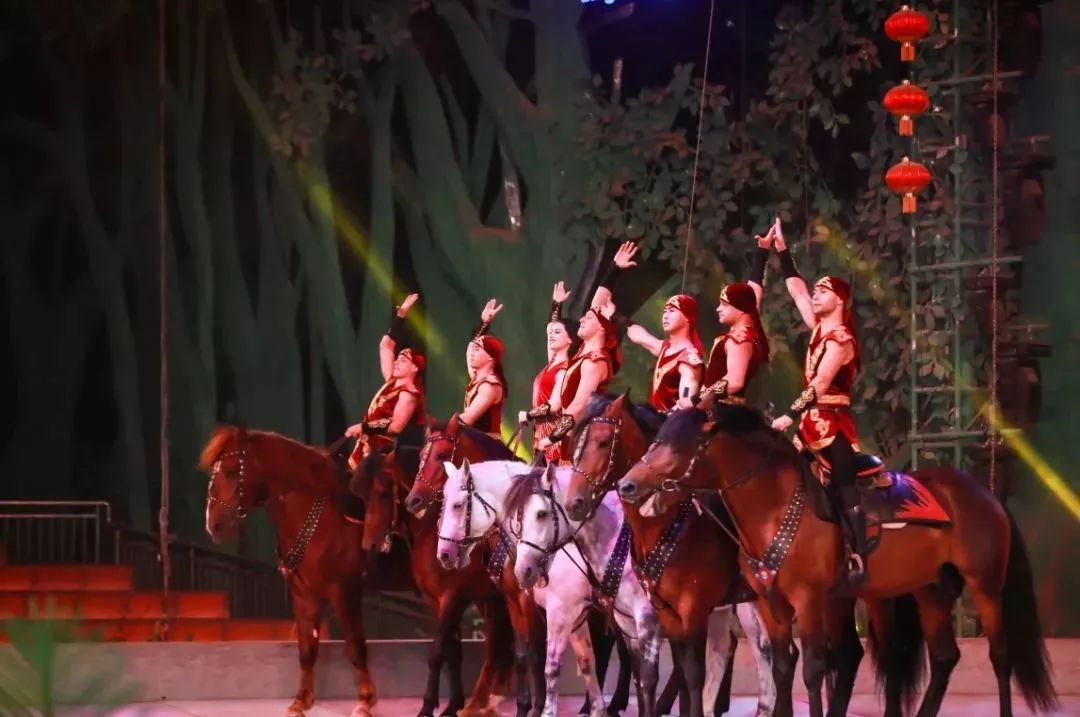 灵玲国际马戏城儿童节,厦门灵玲国际马戏城大熊猫叫什么