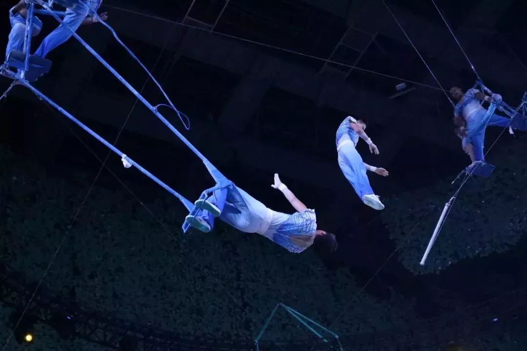 灵玲国际马戏城儿童节,厦门灵玲国际马戏城大熊猫叫什么