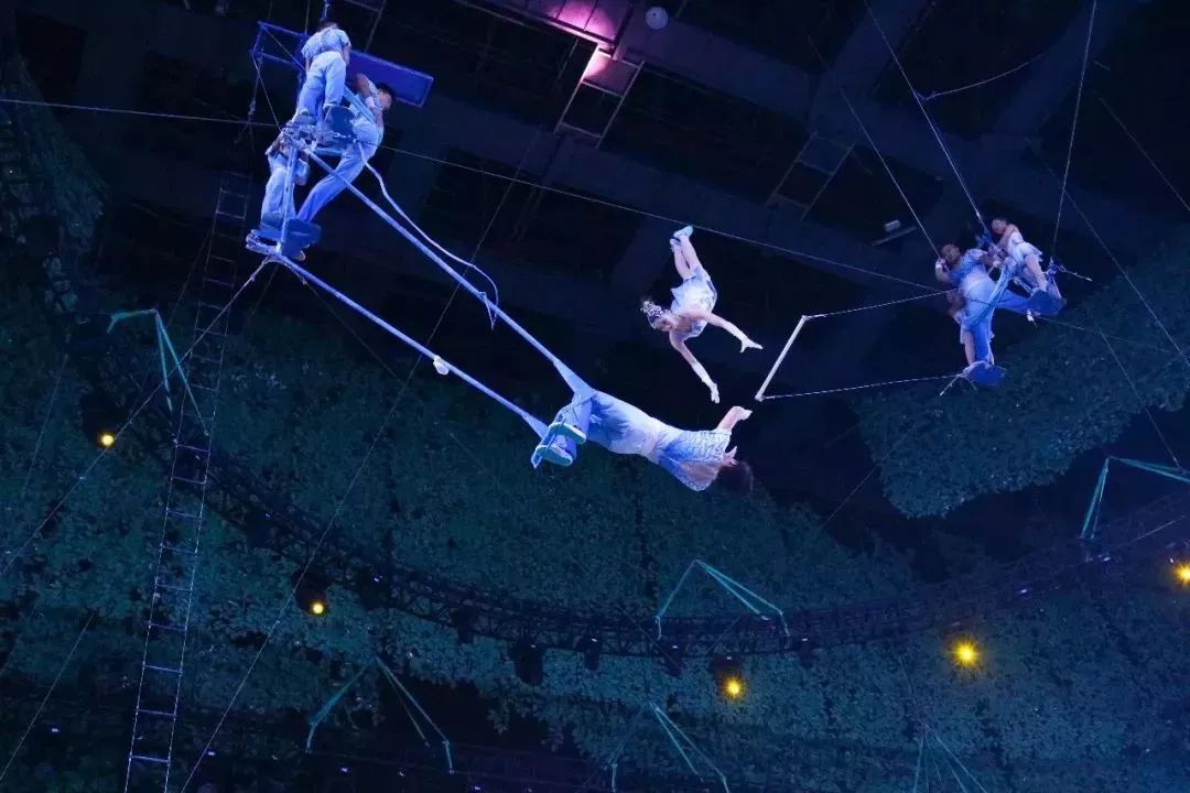 灵玲国际马戏城儿童节,厦门灵玲国际马戏城大熊猫叫什么