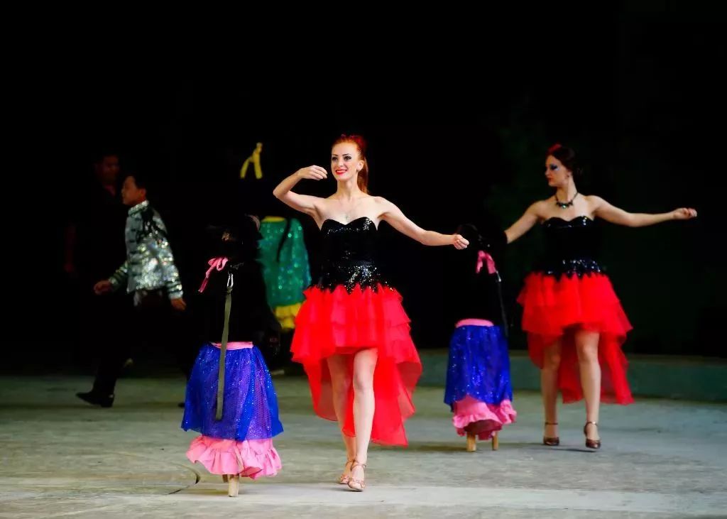 灵玲国际马戏城儿童节,厦门灵玲国际马戏城大熊猫叫什么