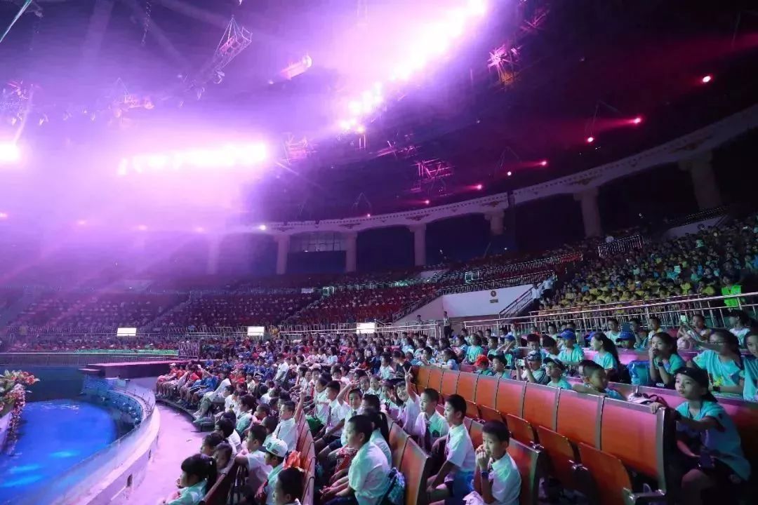 灵玲国际马戏城儿童节,厦门灵玲国际马戏城大熊猫叫什么