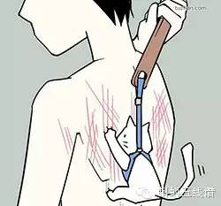 香椿是发物的原因,香椿是发物有根据吗