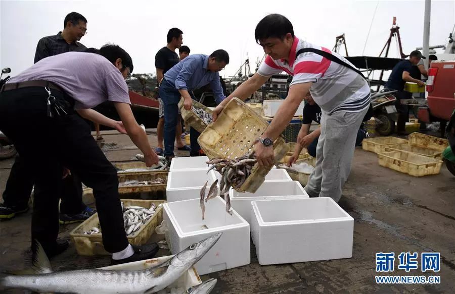 接下来福建人都在吃梭子蟹,接下来福建人开始吃什么菜