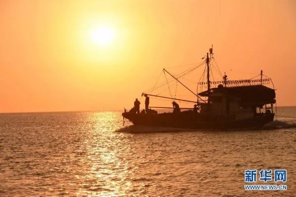 接下来福建人都在吃梭子蟹,接下来福建人开始吃什么菜