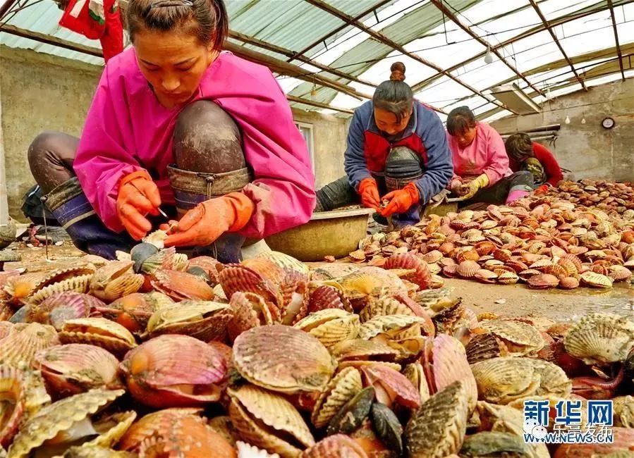 接下来福建人都在吃梭子蟹,接下来福建人开始吃什么菜
