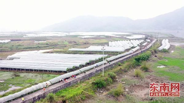 福安市赛岐马拉松,一路跑步一路美景