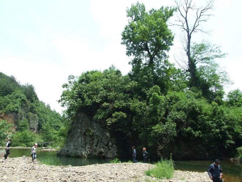 皖南川藏线徽姑娘云秀山庄,安徽徽州有徽姑娘品牌的农家乐