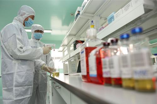 守正创新蹚新路奋勇争先开新局,守正创新锐意进取谋复兴