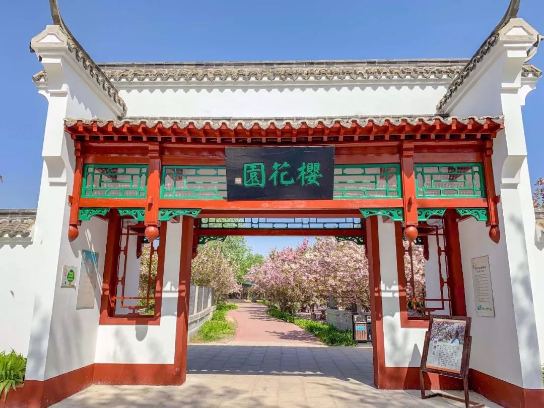 鑱婂煄濮滃牑涔愬洯妯辫姳,鑱婂煄濮滃牑妯辫姳涔愬洯