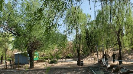 鑱婂煄濮滃牑涔愬洯妯辫姳,鑱婂煄濮滃牑妯辫姳涔愬洯