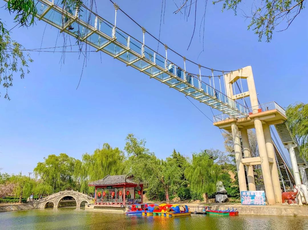 鑱婂煄濮滃牑涔愬洯妯辫姳,鑱婂煄濮滃牑妯辫姳涔愬洯