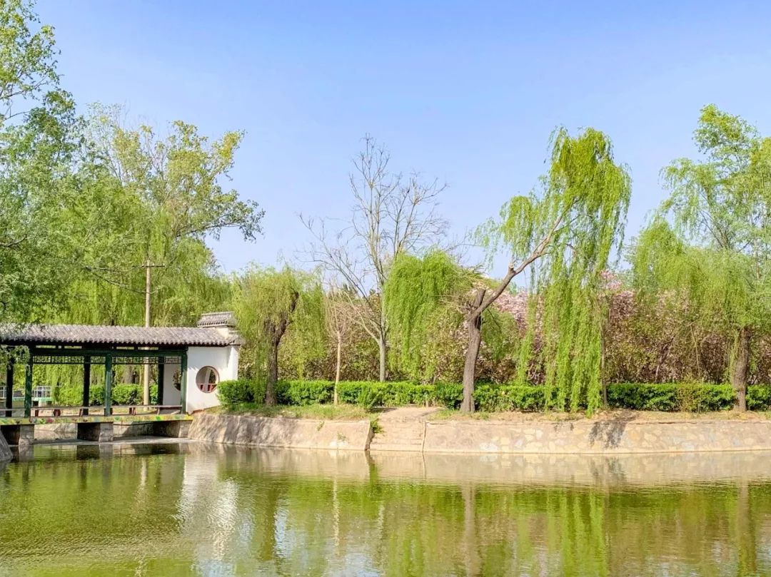 鑱婂煄濮滃牑涔愬洯妯辫姳,鑱婂煄濮滃牑妯辫姳涔愬洯