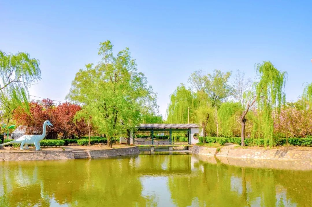 鑱婂煄濮滃牑涔愬洯妯辫姳,鑱婂煄濮滃牑妯辫姳涔愬洯