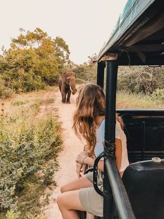 斯里兰卡爆炸是怎么回事,斯里兰卡爆炸有什么特点